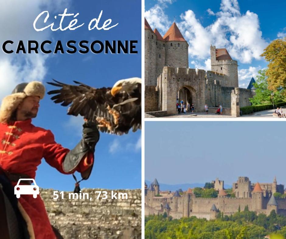 Spacieux Appartement Avec Balcon 纳博讷 外观 照片